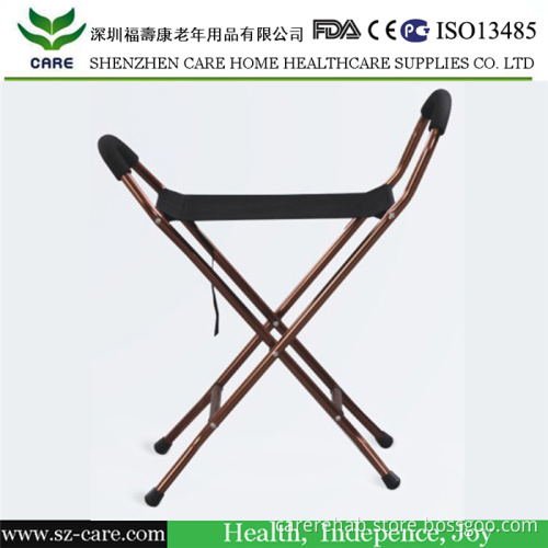 Multi-Function Walking Stick